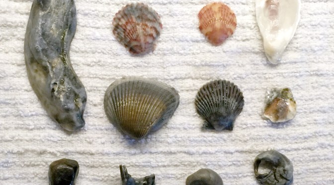 A Walk along the Beach