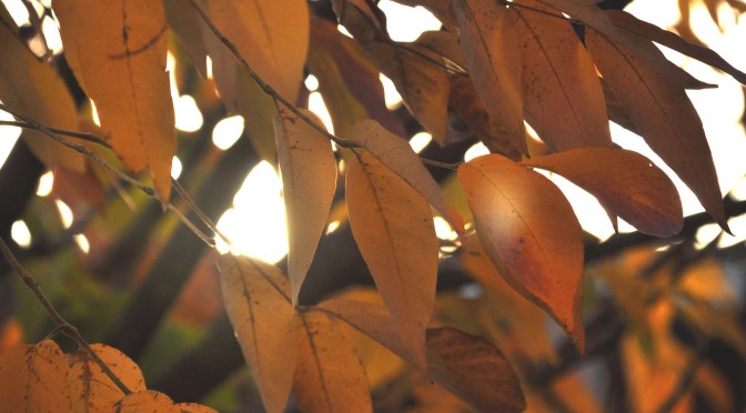 Woah! Where’d the Time Go?